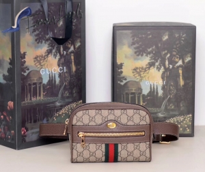 Gucci Bag 107